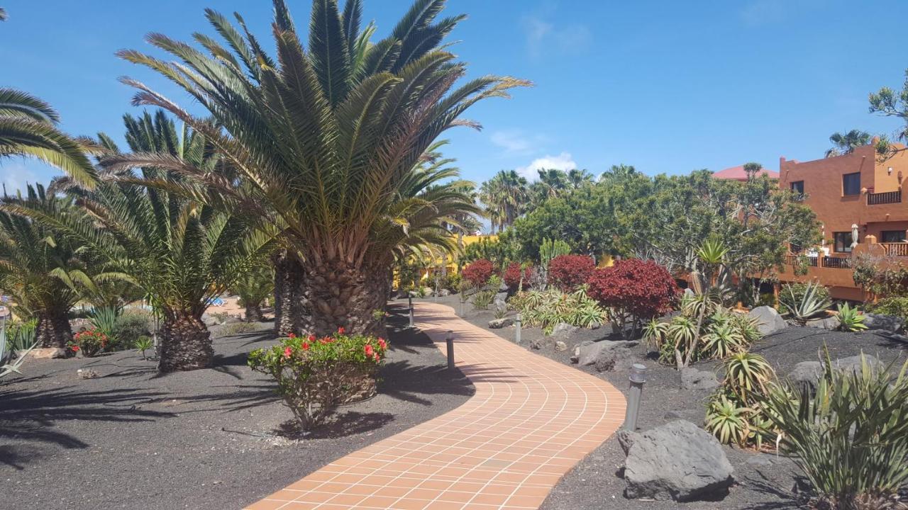 Ferienwohnung Oasis Royal 3 Piscinas Corralejo Exterior foto