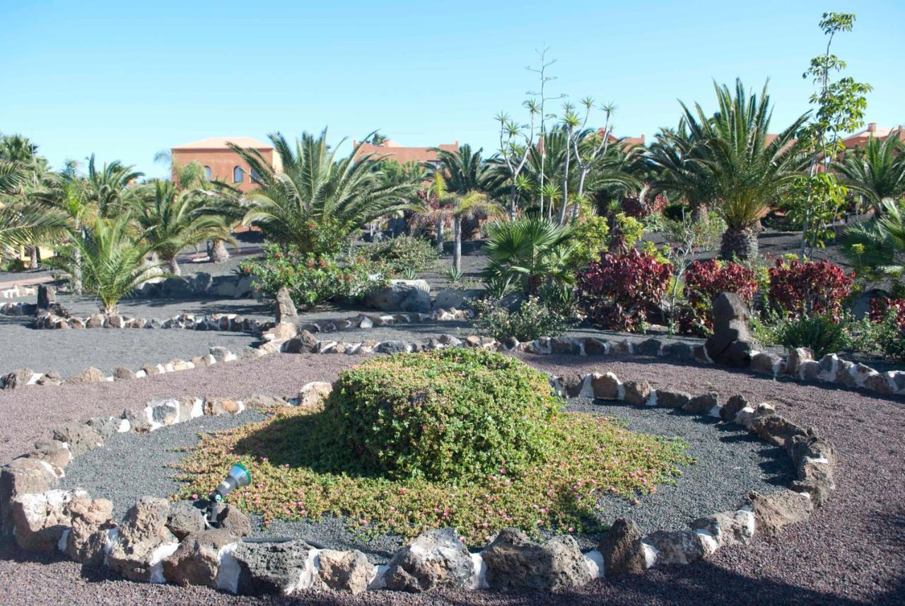 Ferienwohnung Oasis Royal 3 Piscinas Corralejo Exterior foto